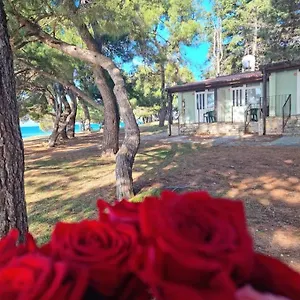 ** Vakantiepark Family Pineta Kroatië